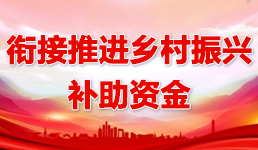 銜接推進鄉村振興補助資金